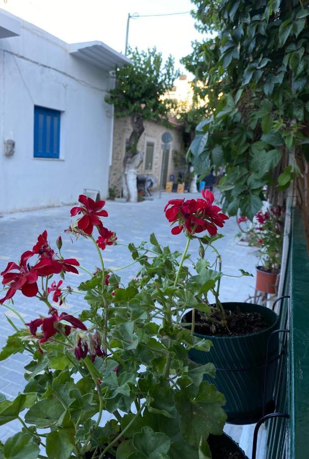 Olympios Apartment At Myrtos 1 Minute From The Beach Extérieur photo